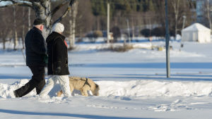 Motion är viktigt också när det är kallt ute. Ta på dig varma kläder och gå ut i vintervädret! Äldre par ute och går med terrier.