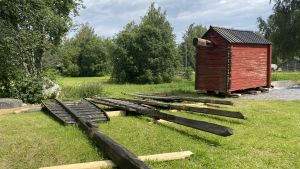Väderkvarnens övre del är nerlyft för att göra arbetet enklare. Vingarna var i sämre skick än man trodde, det kan bli restaurerade först nästa år. Fyra stora mörkbruna väderkvarnsvingar ligger på rad på en gräsmatta, till vänster står väderkvanens röda övre del på marken.