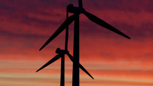 EU strävar efter att bli klimatneutralt till år 2050. Vindmöllor med solnedgång i bakgrunden.