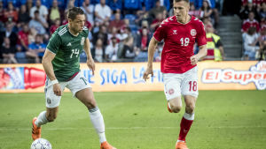 Javier Hernandez utmanar Lukas Lerager i genrepet mot Danmark. Javier Hernandez utmanar Lukas Lerager i genrepet mot Danmark.