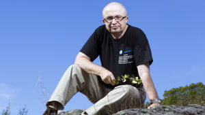 Akademiker Markku Kulmala fokuserar nu på skogen och dess betydelse för klimatet. Forskningsresultaten presenteras i början av 2019. Markku Kulmala har ny forskning om skogens roll för klimatet på gång. Resultat är att vänta i början av 2019.