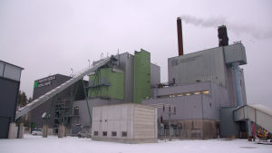 Borgå Energis biokraftverk i Tolkis. För produktionen av värme och el används lokal skogsflis. Inga träd fälls för ändamålet, utan man använder bara de delar som inte duger till annat Borgå Energi.