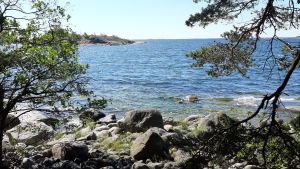 Skärgådsöar kan innehålla många värdefulla arter. En stenig strand på en ö i skärgården.