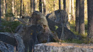 Längs Harparskoglinjen finns bland annat pansarhinder av stenar. Pansarvagnshinder i Harparskog.