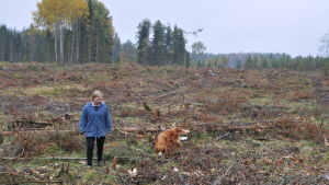 Jessica Granlund och kalhygget som blev en förlustaffär. Jessica Granlund går med hunden på sitt kallhygge