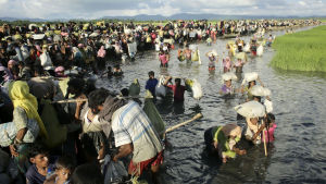 Över 700 000 muslimska rohingyer flydda undan arméns våld till grannlandet Bangladesh i fjol. Rohingyaflyktingar tar sig från Burma till Bangladesh