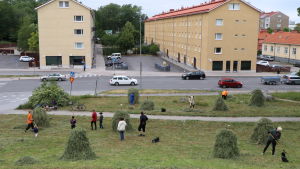 Efter några timmars arbete hade en stor del av höet redan krattats och lagts upp på höstörar. Efter några timmars arbete hade en stor del av höet redan krattats och lagts upp på höstörar.