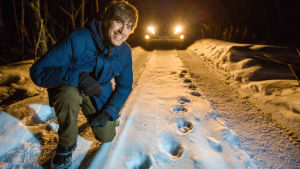 Simon Reeve Venäjällä. Simon Reeve tutkii amurintiikerin jälkiä sarjassa Simon Reeve Venäjällä