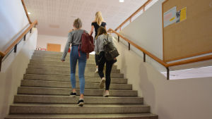 Vy från S:t Olofsskolan, elever på väg på lektion. Tre flickor går upp för en trappa.