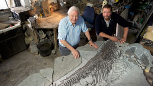 Britanniasta löydettiin merkittävä fossiili, jurakautinen iktyosaurus. Oliko tarujen merihirviö sittenkin olemassa?