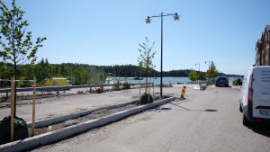 På bostadsområdet finns det ännu en del arbete att göra. Nyplanterade träd vid Sibbostrand.