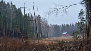 Dan Wickström misstänker att kraftledningar utanför huset försämrar mottagningen. Elledningar i grått skogslandskap.