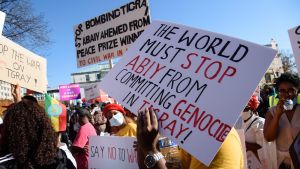 Demonstranter utanför USA:s utrikesministerium i Washington vädjade i måndags om att premiärminister Abiys "folkmord" i Tigray ska stoppas. Demonstranter utanför USA:s utrikesministerium i Washington vädjade i måndags om att premiärminister Abiys "folkmord" i Tigray ska stoppas.