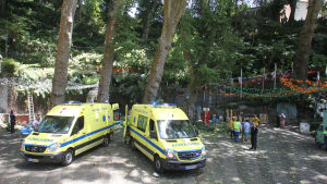 Åtminstone två ambulanser kallades till platsen. Åtminstone två ambulanser kallades till platsen då ett träd föll under en religiös högtid på Madeira.