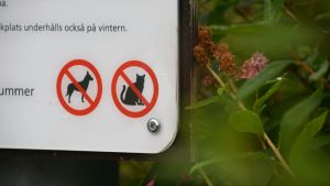 Förbudet gäller inte bara hundar utan också katter. Skylt som visar förbjudet för katter och hundar.