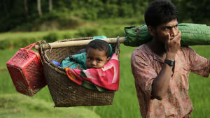 De flesta flyktingar som anländer till Bangladesh har vandrat i dagar genom djungel och berg för att nå gränsen