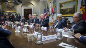 Trump och republikanska ledare i kongressen måste nu förhandla med varandra och demokrater om hur skatteplanen skall finansieras Trump och republikanska ledare i kongressen måste nu förhandla med varandra och demokrater om hur skatteplanen skall finansieras