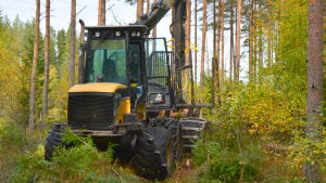 Christian Blomqvist säger att blandskog har blivit tidens melodi. En skogsmaskin i skogen