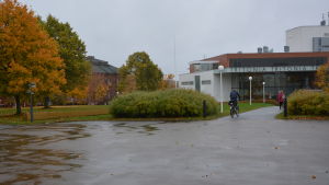 Vasa universitet
