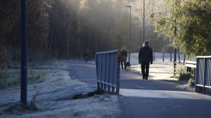 Pappersbron i Vasa, frost i gräset, folk promenerar och cyklar i förmiddagssolen