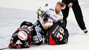Jari Sailio hör till dem som stängts av för tackling mot huvudet under ligahösten. Kärpäts Jari Sailio med två Sport-spelare, oktober 2016.