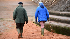 Vad är rehabilitering och vad är att upprätthålla funktion i vardagen? Två äldre personer går i höstlandskap. Bild bakifrån.