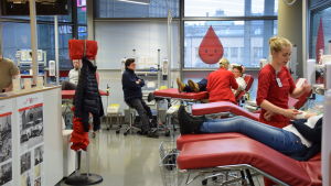 Blodtjänst efterlyser blodgivare under helgen. Folk utspridda på britsar för att donera blod till Blodtjänst.