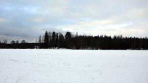 Här ska en manege byggas. Snöbelagda åkrar. Wahlrooska hemmanet som ska bli hästsportcenter.