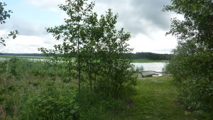 På Ekåsenområdet kunde patienterna gå omkring utan att någon såg dem. På det nya stället har de inte möjlighet till samma avskildhet. En grönskande strand vid Ekåsensn sjukhus i Ekenäs.