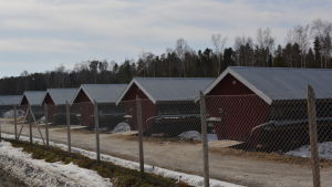 Skugghus på nya farmområdet vid Vallans farmområde i Jakobstad. Skugghus på nya farmområdet vid Vallans farmområde i Jakobstad