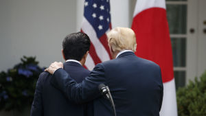 Shinzo Abe och Donald Trump lämnar presskonferensen i Vita husets rosenträdgård.
