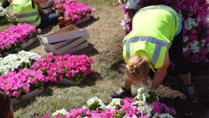 Janina Sannholm gräver ner ettåriga sommarblommor i Kyrkparken i Hangö. En bild på en kvinna som gräver ner sommarblommor i en backe. Hon har på sig en reflexväst och i bakgrunden syns blommor i lådor.