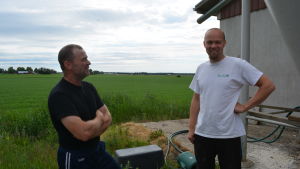 Dan och Patrik Norrgård i Pensala har varsin svingård. Dan och Patrik Norrgård i Pensala har varsin svingård