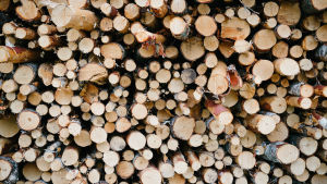 Forstyrelsen behöver avverka mycket skog för att nå upp den vinst vi som väljare kräver. pöllikasa, Evo, 4.7.2018
