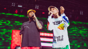 Ruisrock