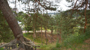 Vyn från platsen ser inte riktigt lika ut som då Edelfelt målade tavlan "Borgå sett från Borgbacken". vy över staden Borgå sett från Borgbacken