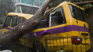 Buss förstördes av ett träd som vinden fällde över den. En buss i Hongkong har förstörts av ett träd som fallit över den.