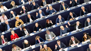 Europaparlamentariker i parlamentet i Strasbourg den 13 februari 2019.
