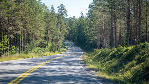 Bromarvvägen är väldigt vacker tycker många som besöker Bromarv för första gången. Också artikelns skribent gillar att köra längs Bromarvvägen, i synnerhet när det bär av mot Bromarv. Detsamma verkar också Nemo tycka. Vägen till bromarv är krokig o har branta kurvor