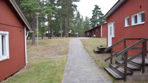 Bland annat FDUV brukar ordna sommarläger på Högsand. Många skolor har tidigare ordnat lägerskola här. Men nu är det oklart om och när gården öppnar igen. Röda stugor fungerar som inkvartering för deltagare som är på kurscentret högsand. Här syns röda stugor och tallar.