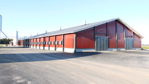 Den nya kalkonhallen rymmer 13 000 tuppar. En 4000 kvadratmeter stor kalkonhall. Hallen har röda väggar och svart tak.