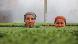 Miniversoyrittäjät pilkistävät versojensa takaa.