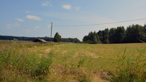 Staden vill sälja åkermark till bönder. Arkivbild. En åker och en gammal byggnad vid kanten av den. I bakgrunden skog och blå himmel.