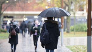 Frida studerade vid universitet i Birmingham. Jonathan Pettifer Birminghamin yliopistolla. Äänesti EU:ssa pysymisen puolesta.