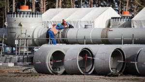 Nord Stream 2 har kritiserats från många håll. Miljöorganisationer är oroade över gasledningens miljöpåverkan och flera EU-länder har ställt sig kritiska till Rysslands ökande inflytande och för att Ukrainas roll som transitland för gas till Europa ska försvagas. Työntekijöitä Nord Streamin työmaalla Lubminissa, Saksassa viime maaliskuussa.