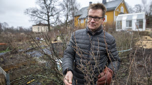 Toimitusjohtaja Timo Taulavuori, Puutarhaliitto