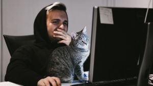 Studieinfo.fi fungerar bäst på laptop eller stationär dator. En man och en katt framför en dator.