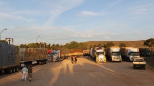 Metsäpalot, Australia