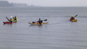 Charlotta Bengs har varit med om många äventyr med sitt gäng men paddling genom hela vintern är unikt. Merimelojat merellä.