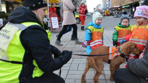 Räddningshundarna var också populära under 112-dagen i Åbo. 112-dagen i Åbo